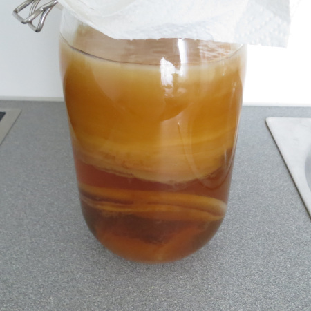 kombucha SCOBY in jar after 5 months at room temperature